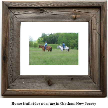 horse trail rides near me in Chatham, New Jersey